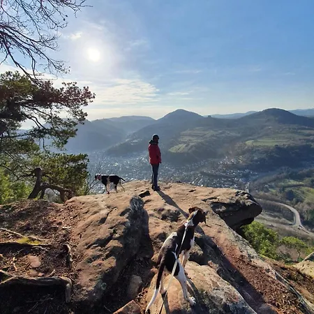 Apartman Pfalztraum Fewo's *