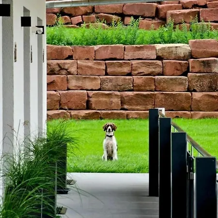 Pfalztraum Fewo's Apartman