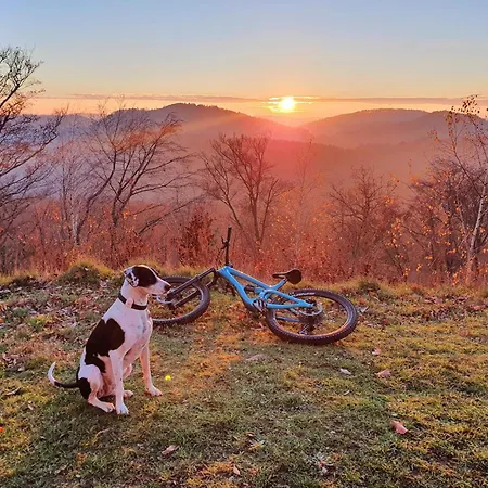Pfalztraum Fewo's Apartman Bruchweiler-Bärenbach