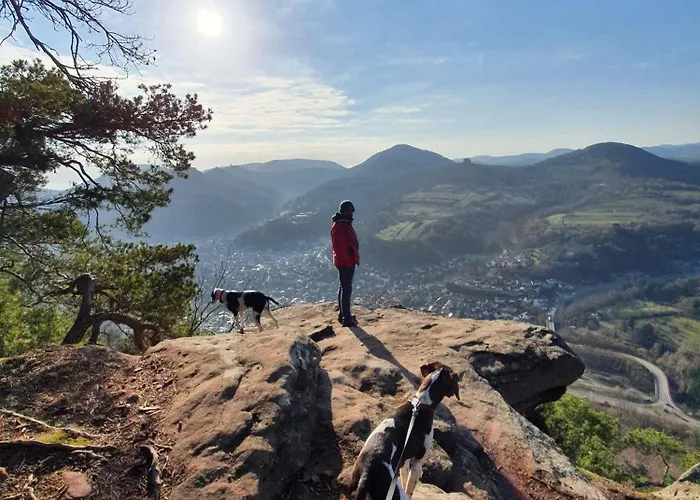 Apartamento Pfalztraum Fewo's *