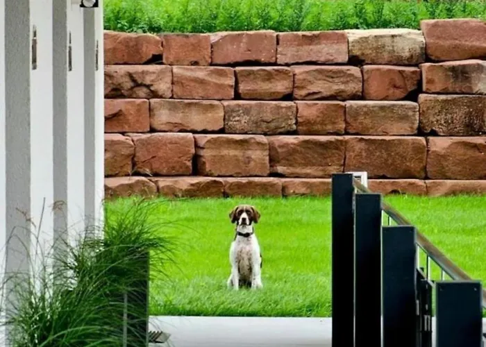 Pfalztraum Fewo's Lägenhet