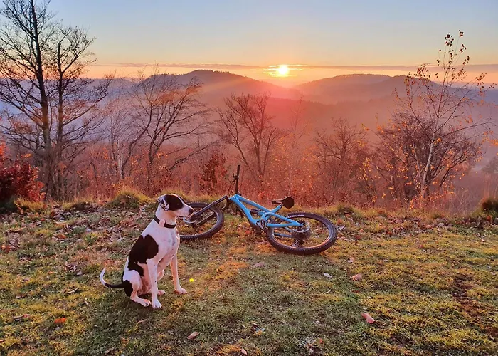 Pfalztraum Fewo's Lägenhet Bruchweiler-Bärenbach